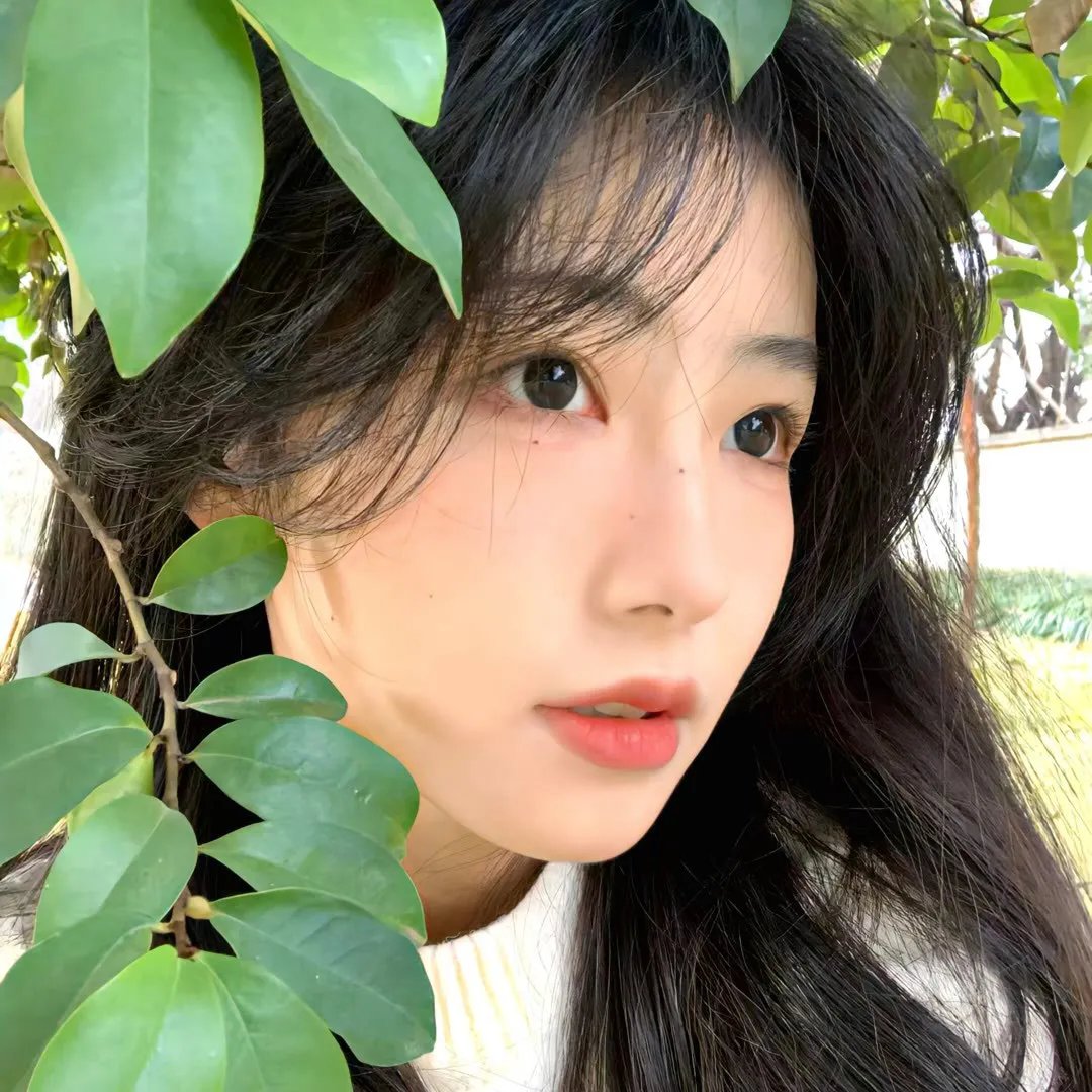 隆美尔传