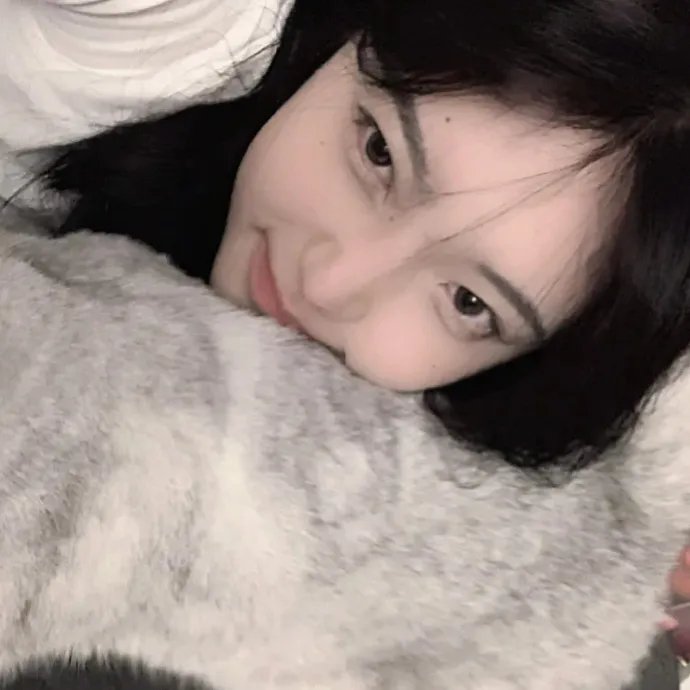 猫之茗第二季